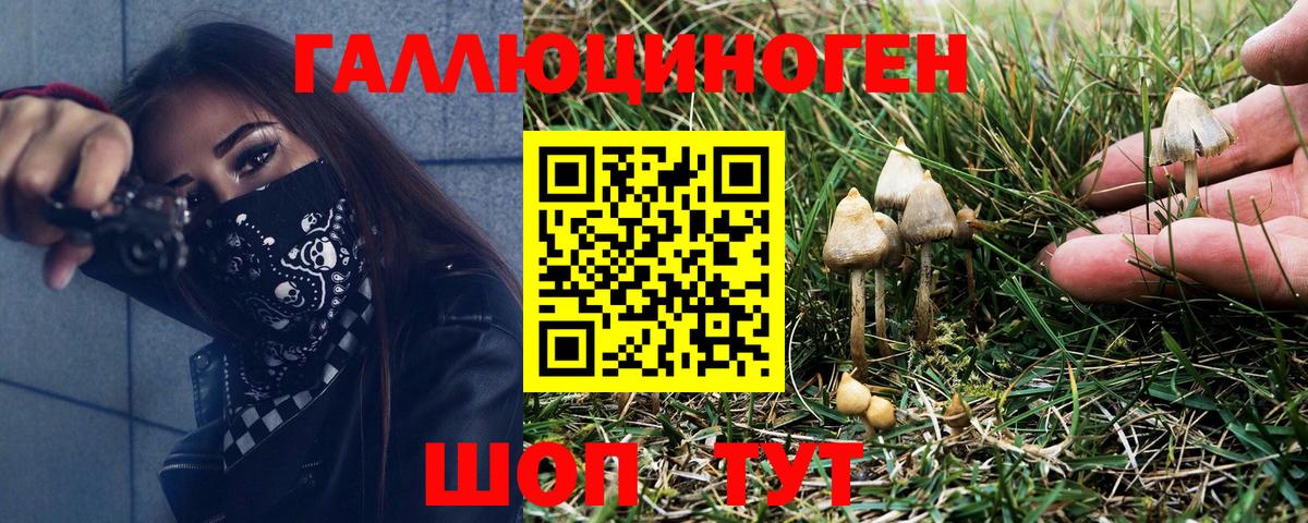 Галлюциногенные грибы Cubensis  Вход с VPN  Калининград 